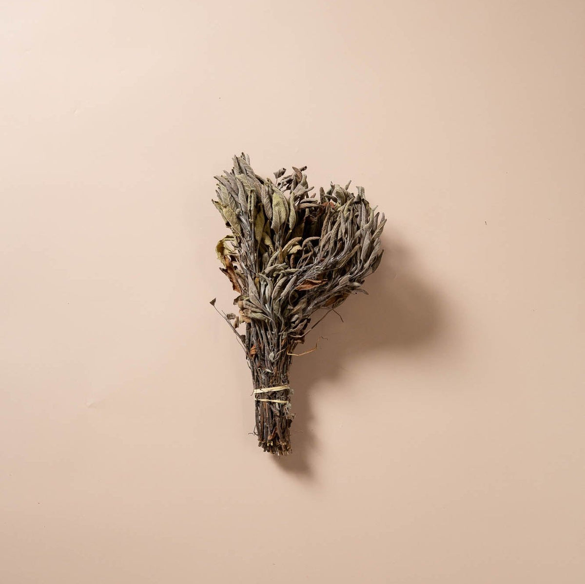 DRIED SAGE