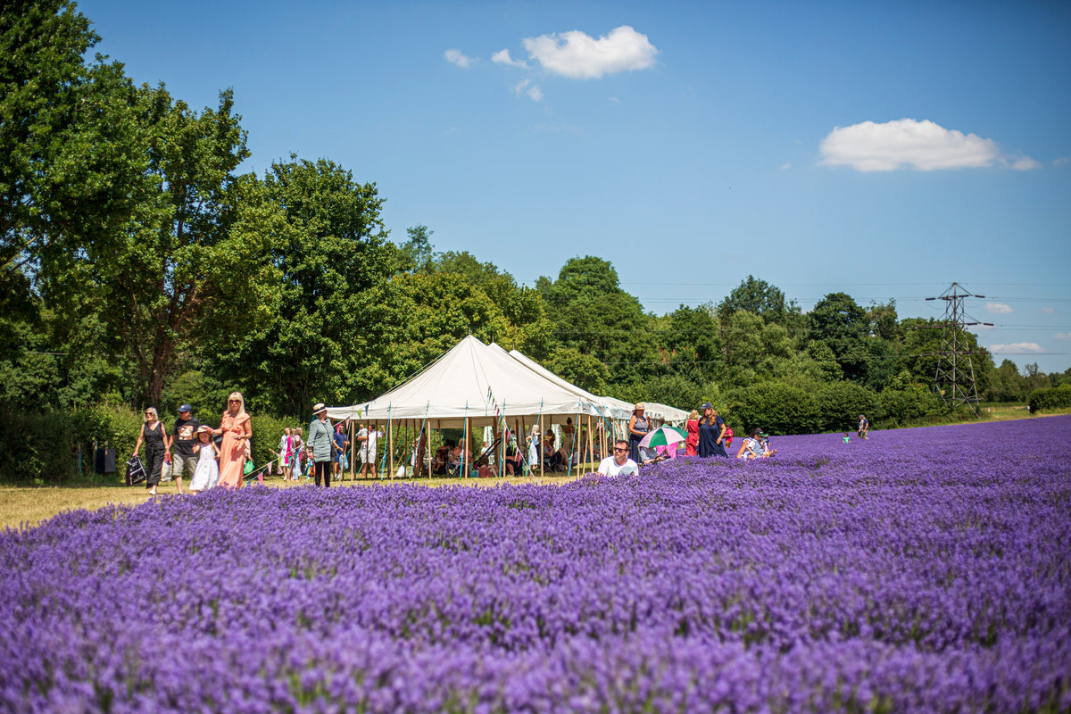 LAVENDER GIN PICNIC EXPERIENCE TICKETS FOR 2 ADULTS