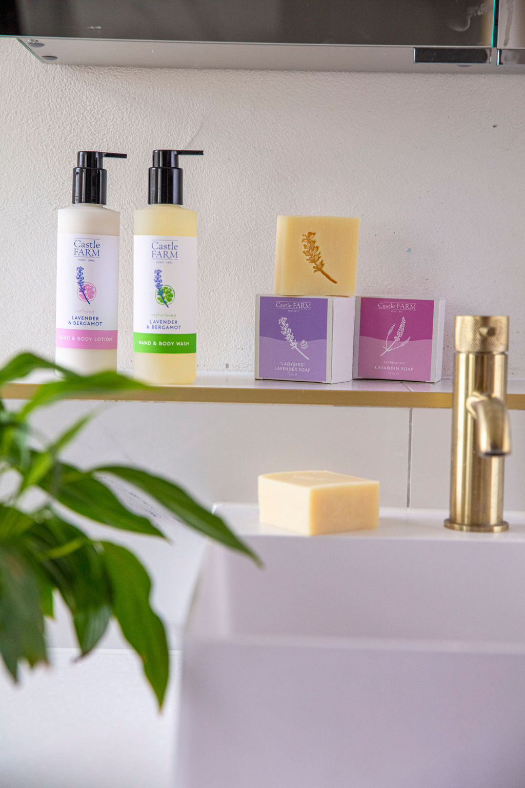 LAVENDER &amp; BERGAMOT REFRESHING HAND &amp; BODYWASH