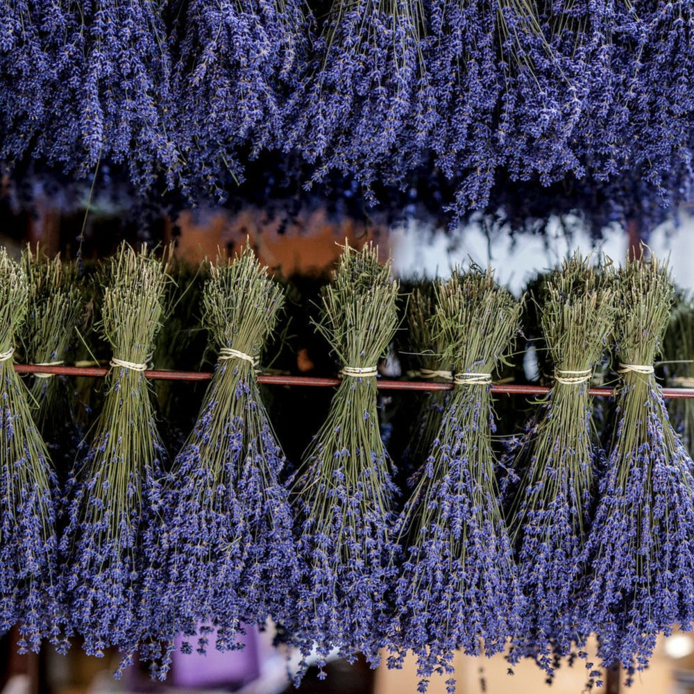 Dried Flowers - Dried Lavender - Castle Farm Shop