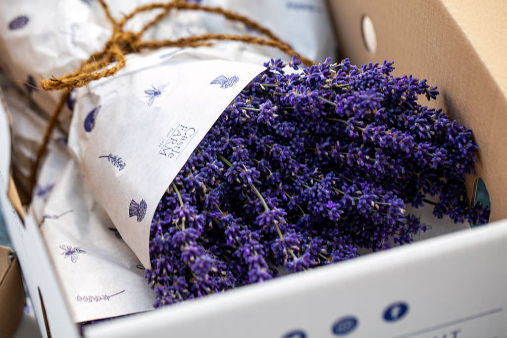 FRESH LAVENDER BUNCHES