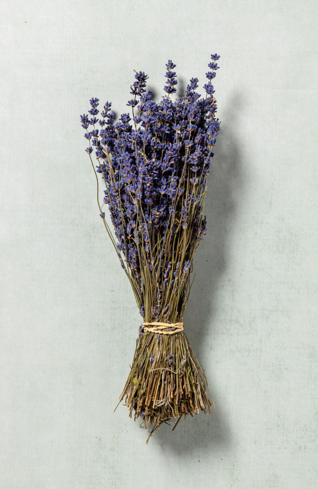 DRIED LAVENDER BUNCHES AS A GIFT