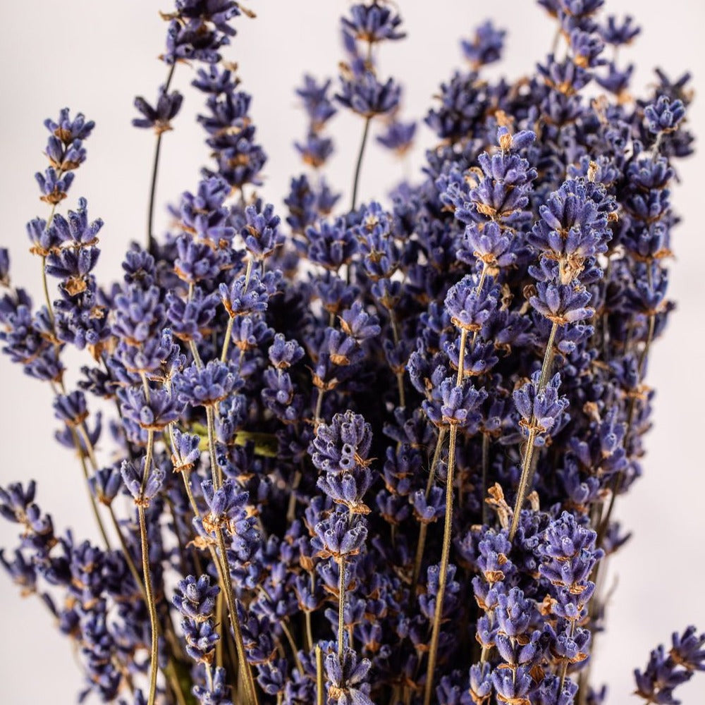 DRIED LAVENDER BUNCHES AS A GIFT