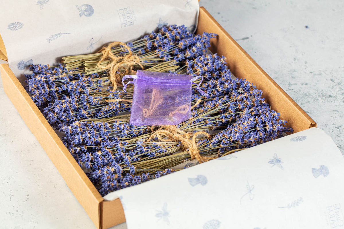 DRIED MINI LAVENDER BUNCHES