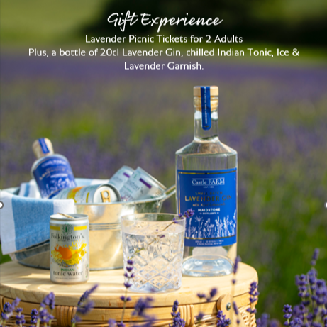 LAVENDER GIN PICNIC EXPERIENCE TICKETS FOR 2 ADULTS