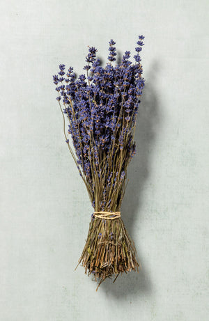 Dried English Lavender Vibrant Purple Bunches - Set of 2