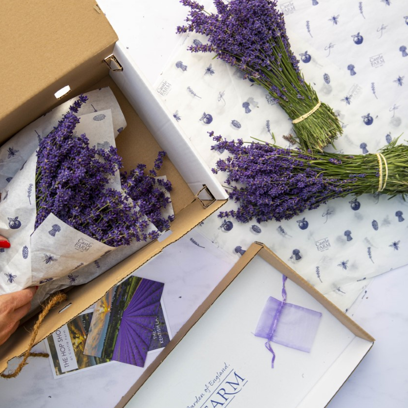 FRESH LAVENDER BUNCHES